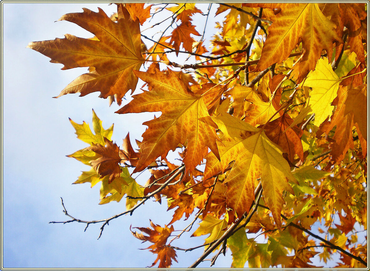 Фото автора.