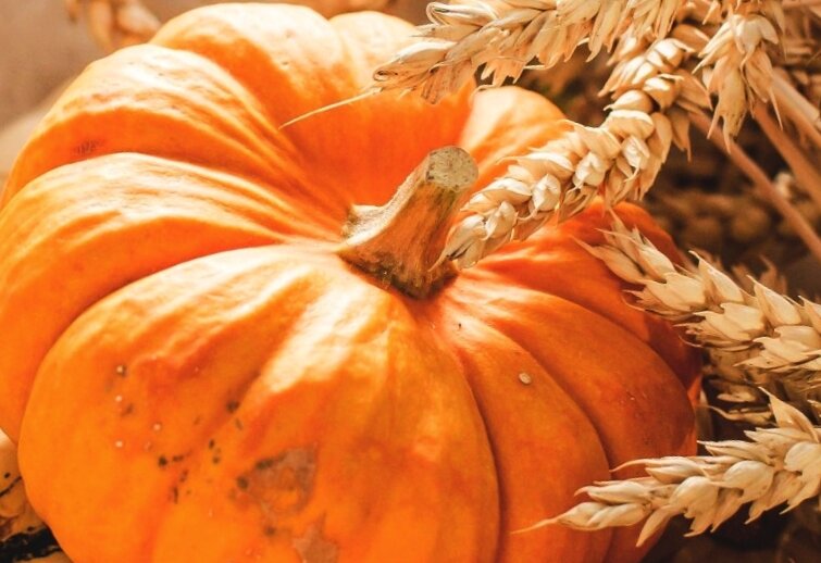 фото взято с просторов интернет