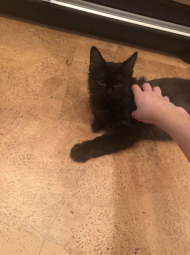 Вот он лежит на полу 