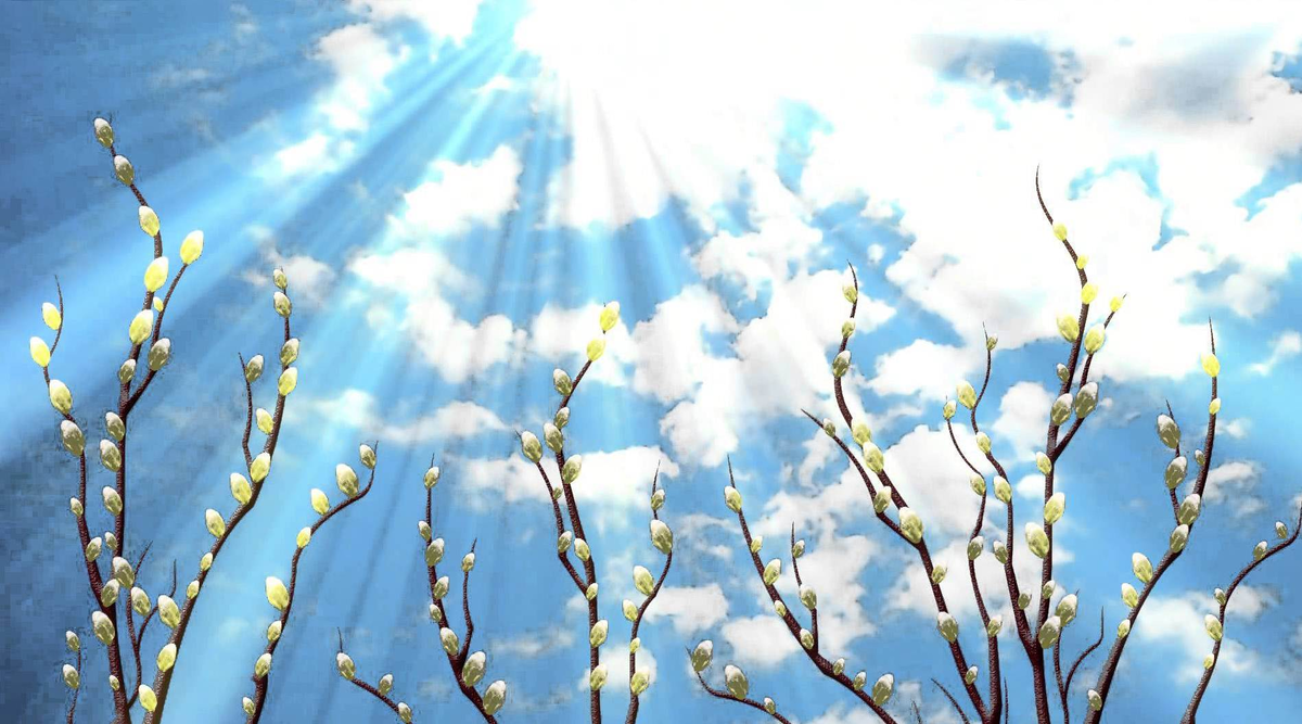 Интернет - свободный источник