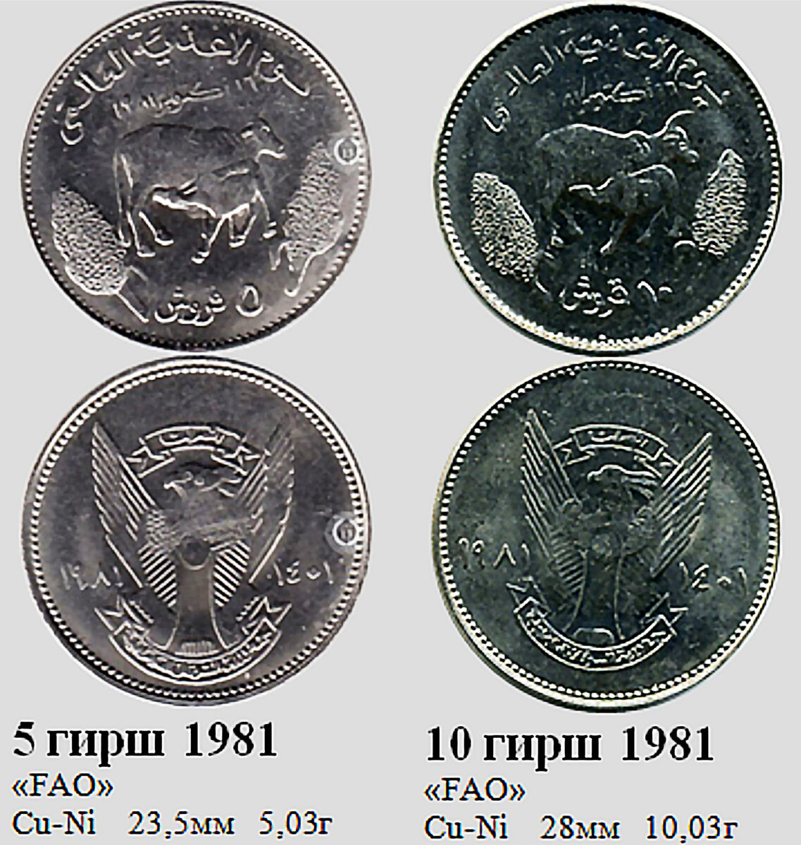 Фрагмент домашнего файла "Судан". 