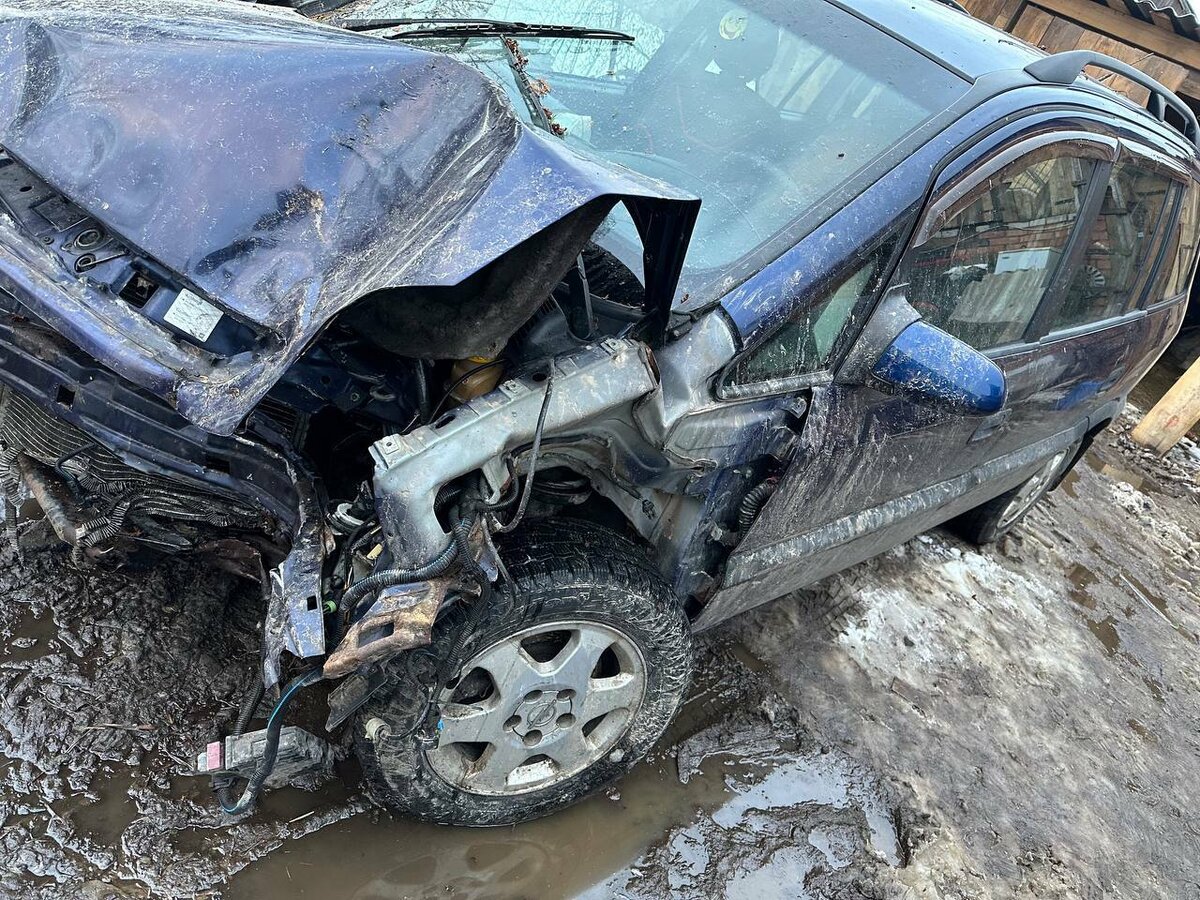 Под Борисовом женщина влетела в дерево и скрылась с места ДТП. В авто был  раненый 13-летний подросток | Telegraf - Новости | Дзен