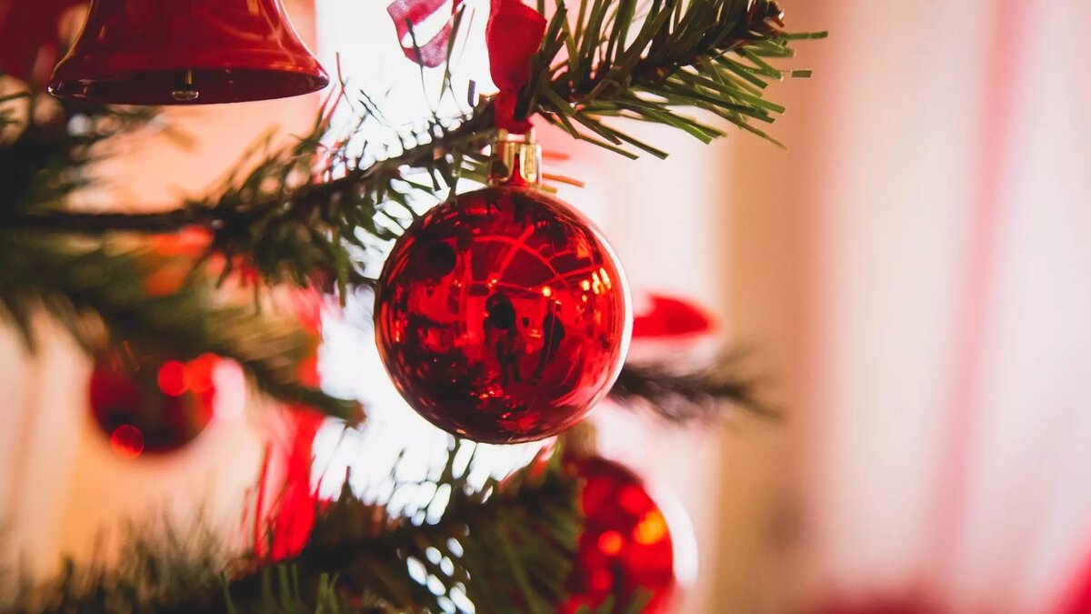     Близится новогодняя пора и наступает время придумать, где отметить Новый Год. В какую стоимость обойдется аренда дома или коттеджа на зимние праздники в Карелии, и возможно ли еще забронировать уютное место за городом — в нашем материале.