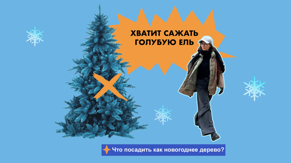 Вырасти ель
