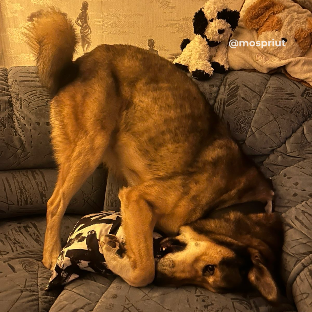 2. Стресс и переходный период