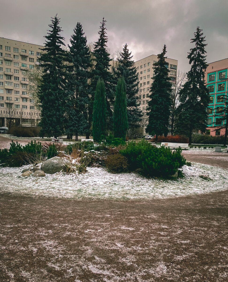 Мрачно у нас в ноябре. Только яркие ёлки и спасают