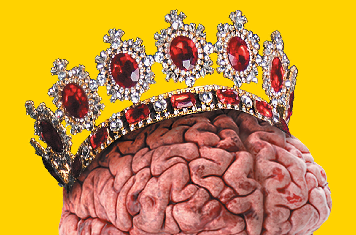 Источник фото: https://unsplash.com/photos/a-close-up-of-a-flower-Cs4PdadZg6k