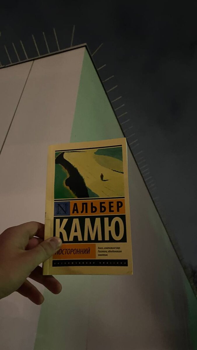 На данное произведение я наткнулся во время прогулки по книжному магазину. До этого я слышал про роман «Алхимик», но не читал.