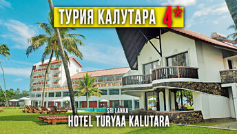 Большой обзор отеля Турия Калутара 4*. Шри Ланка. Hotel Turyaa Kalutara 4*. Sri Lanka
