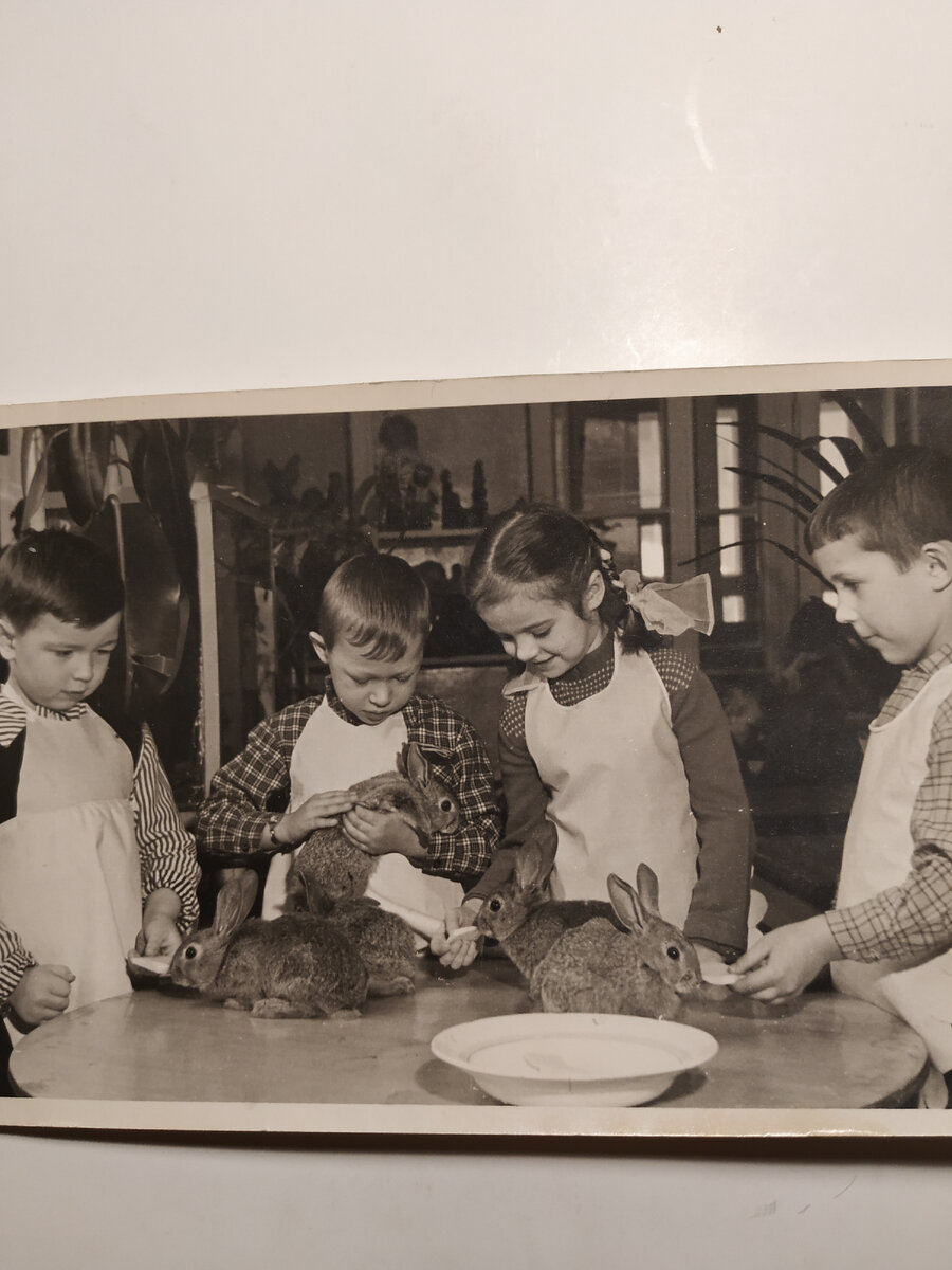 Личный архив.