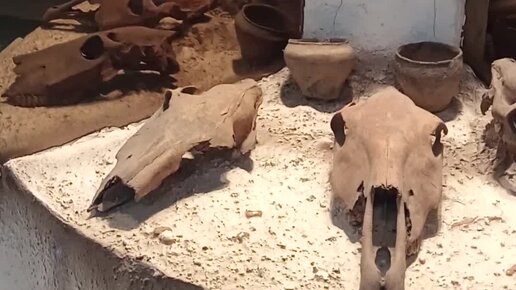 бывший алкаш и копарь