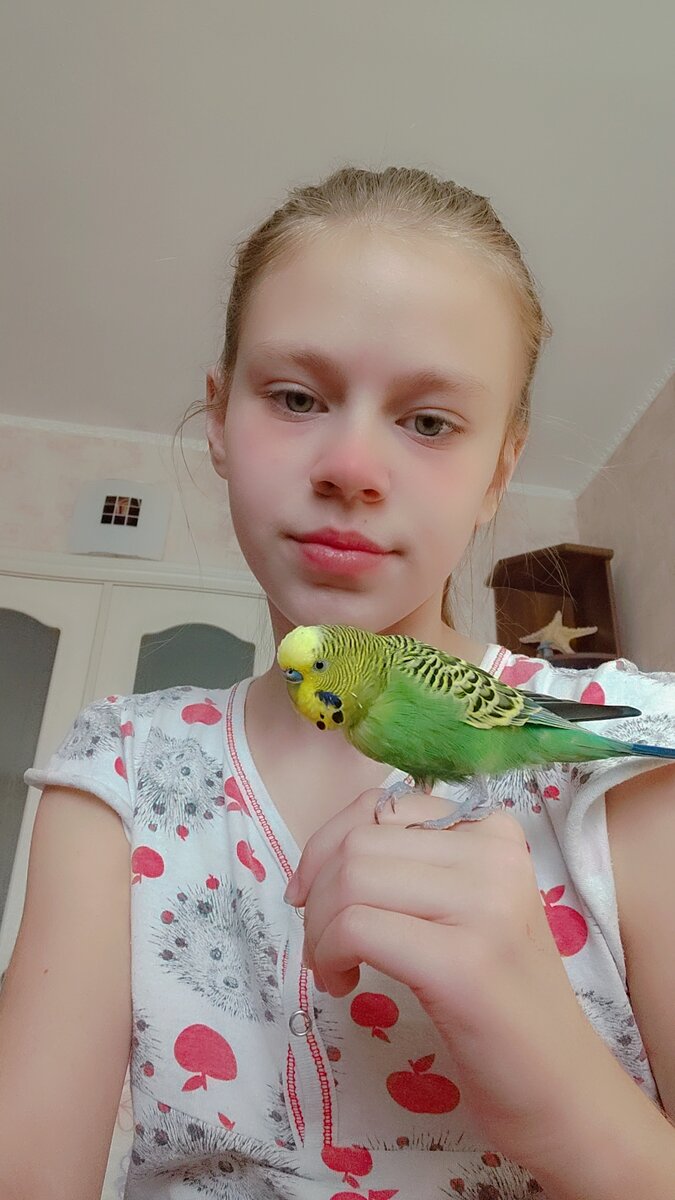 Как же я люблю своего попугайчика)))💋
