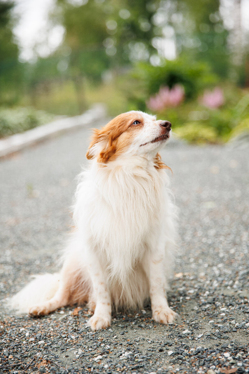 Принцесса. Нет, не принцесса, минимум королева. 