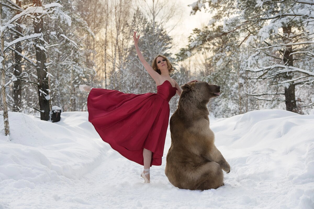 Фотосессия с медведем