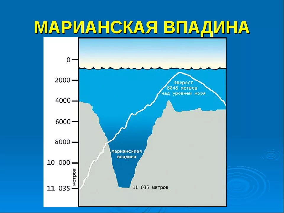 Глубина мирового океана Марианская впадина. Глубина Марианская впадина глубина. Марианская впадина рельеф дна. Марианский жёлоб глубина.