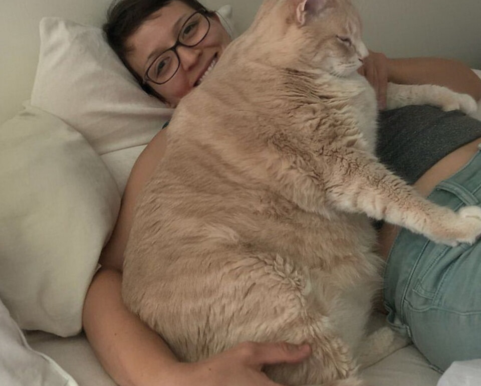 Хозяйка, подвинься! Ты что-то какая-то большая стала!