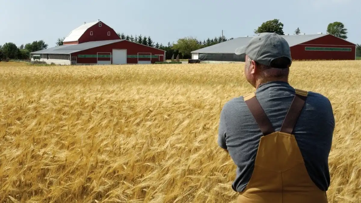 Фото:vuzopedia.ruВ Калининградской области придумали, что делать с релокантами и безработными 
