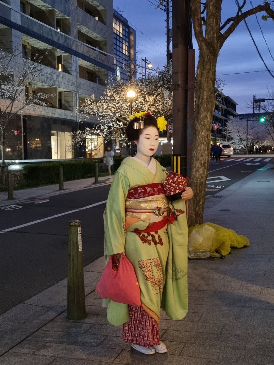 Определить гейша или маико (ученица) можно по одежде и прическе 