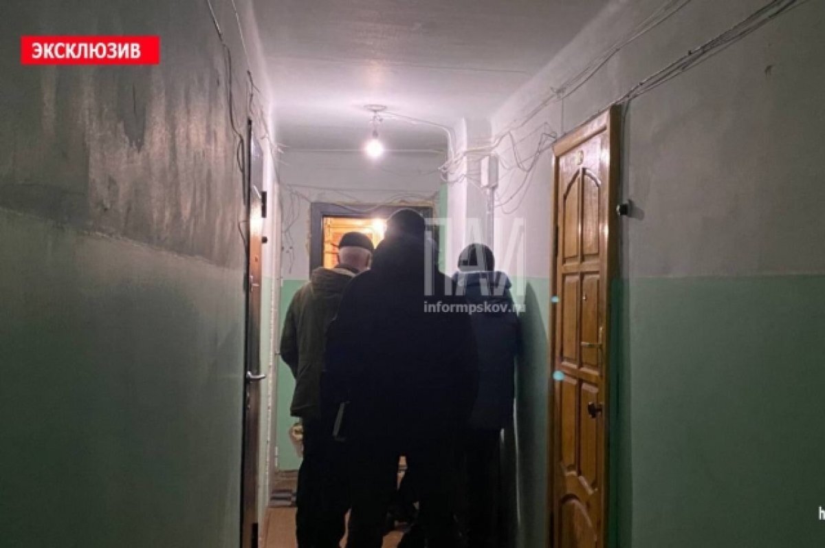    Убившую троих детей мать взяли под арест в Псковской области
