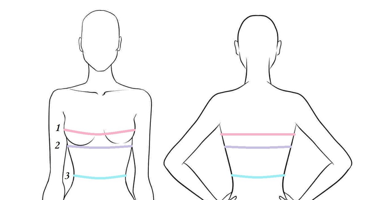 1-обхват груди, 2-обхват под грудью. Рис. 1