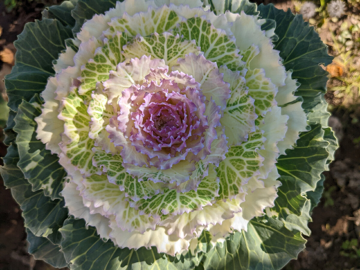 Конец октября