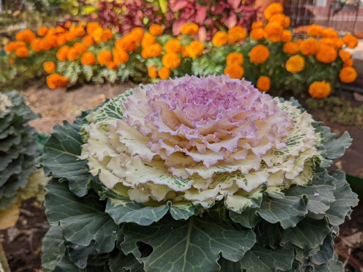 Начало октября