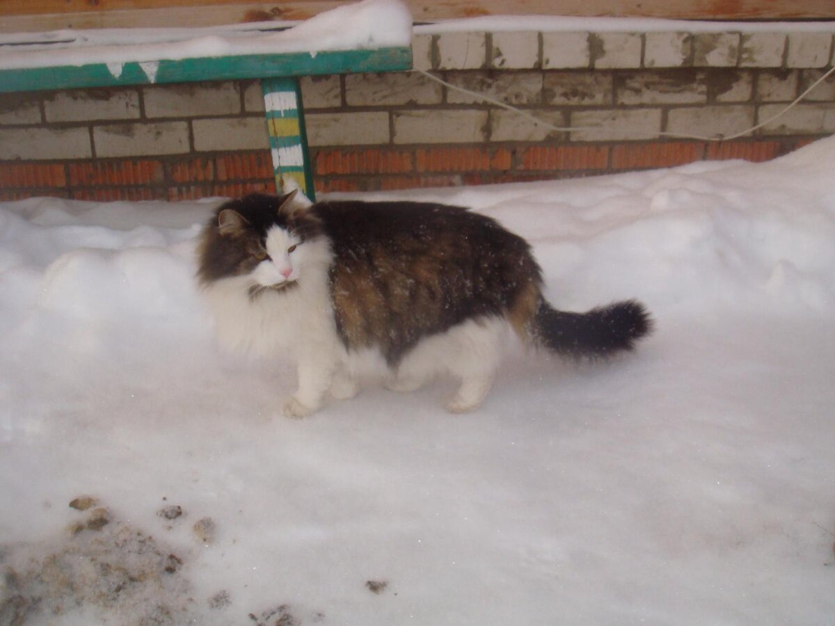 Фото автора. 2017 год.