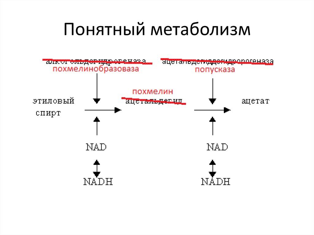 Калькулятор алкоголя