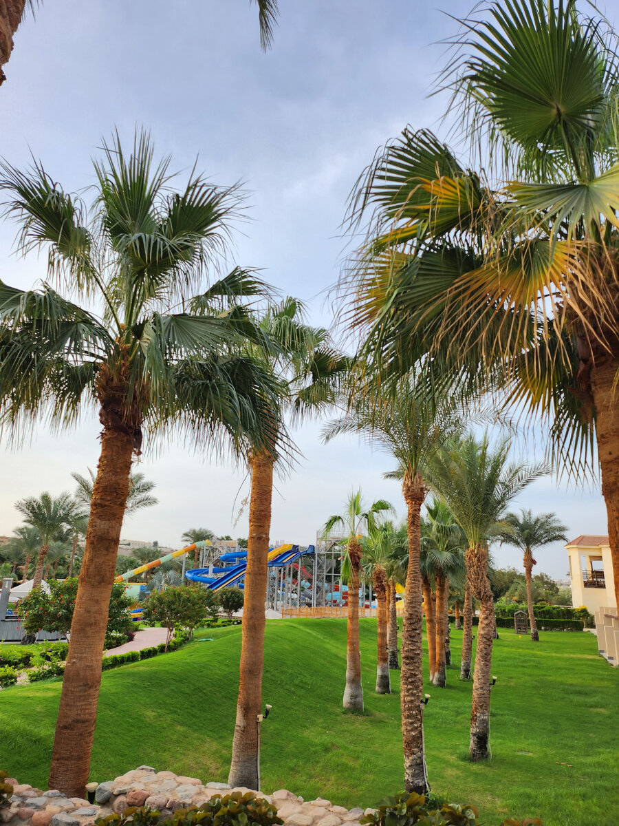 Египет 2023,фото Автора