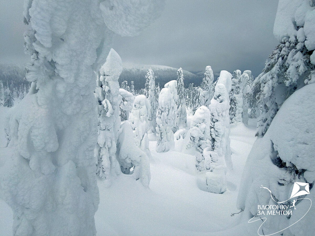 / листаем фото