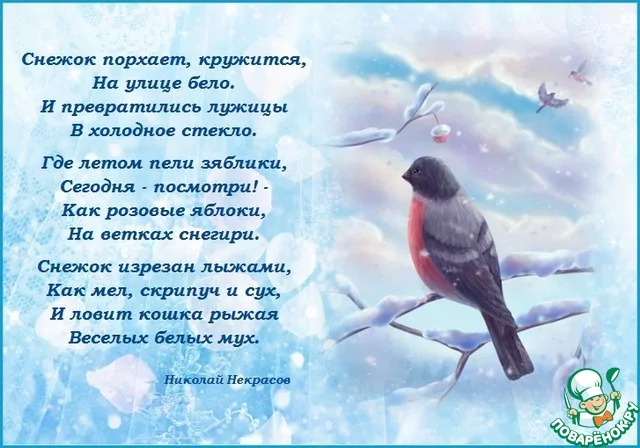 За окошком снегири греют текст. Стихотворение снежок. Снежок порхает кружится. Стихотворение снежок порхает. Стих Некрасова снежок.