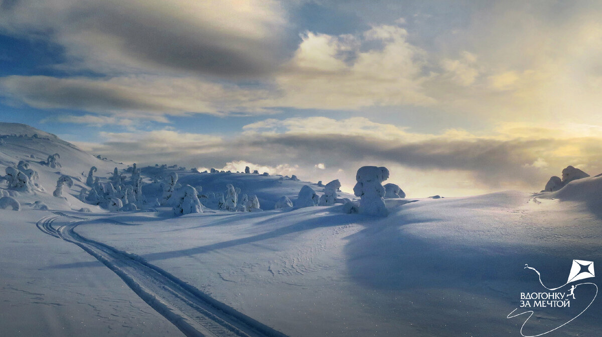 / листаем фото