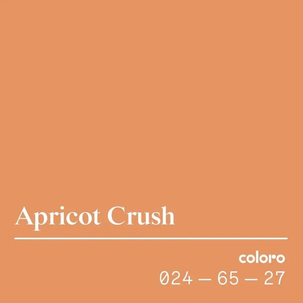 Какой цвет можно 2024. Цвет года 2024 по версии пантон Apricot Crush. Pantone цвет 2024. Абрикосовый цвет пантон. Цвет 2024 года пантон.