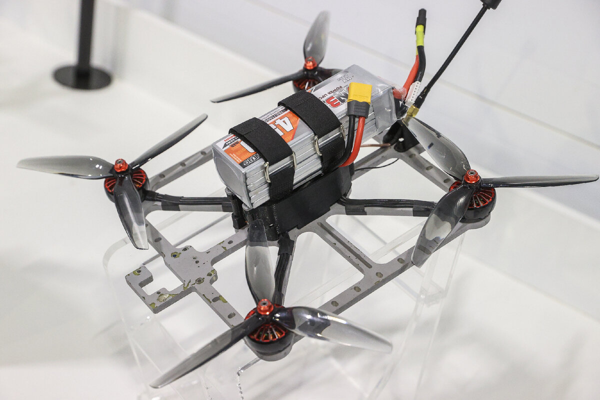 ФОТО: BULKIN SERGEY/GLOBALLOOKPRESS 