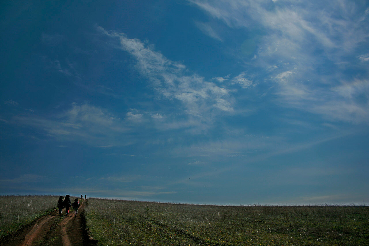 Путь от пристани "Красное Тенишево" к поселку. Фото Артем Зеленовский