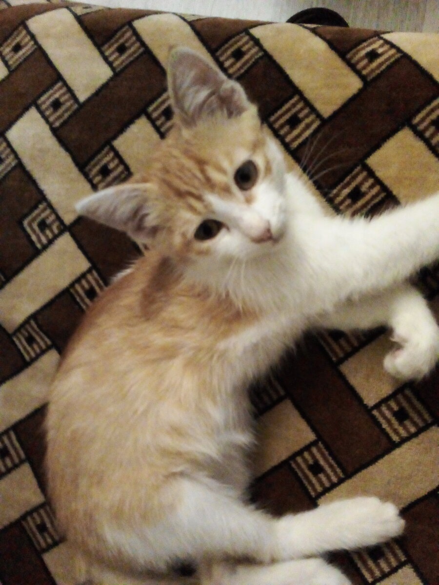 1. Один из первыз снимков