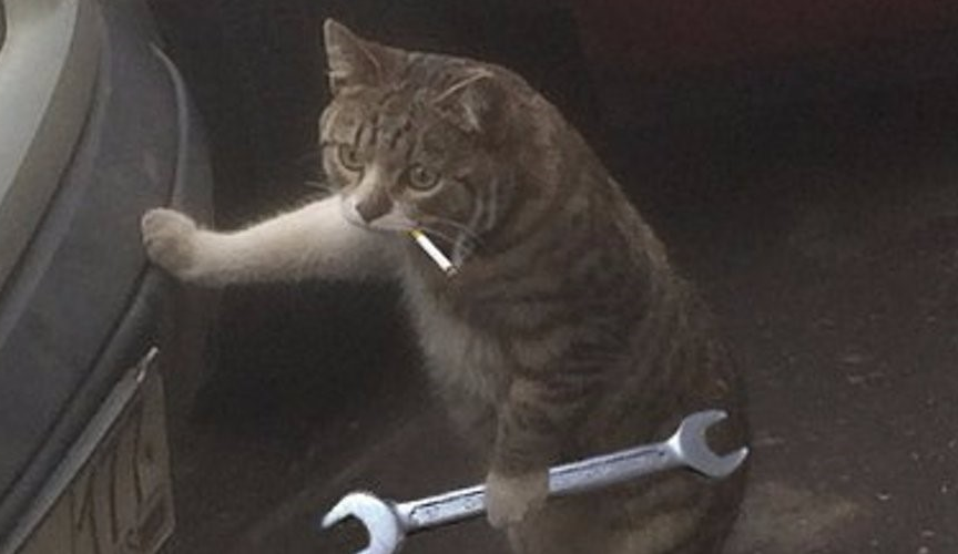 Кошка с ключом