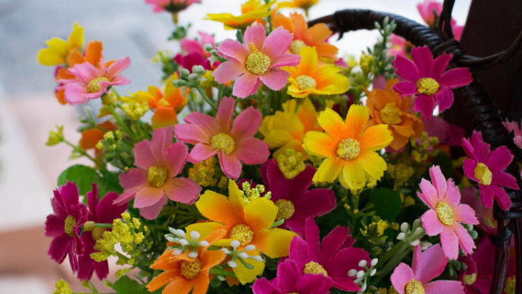    День матери: как отмечается праздник? Фото: watin, по лицензии Shutterstock.com