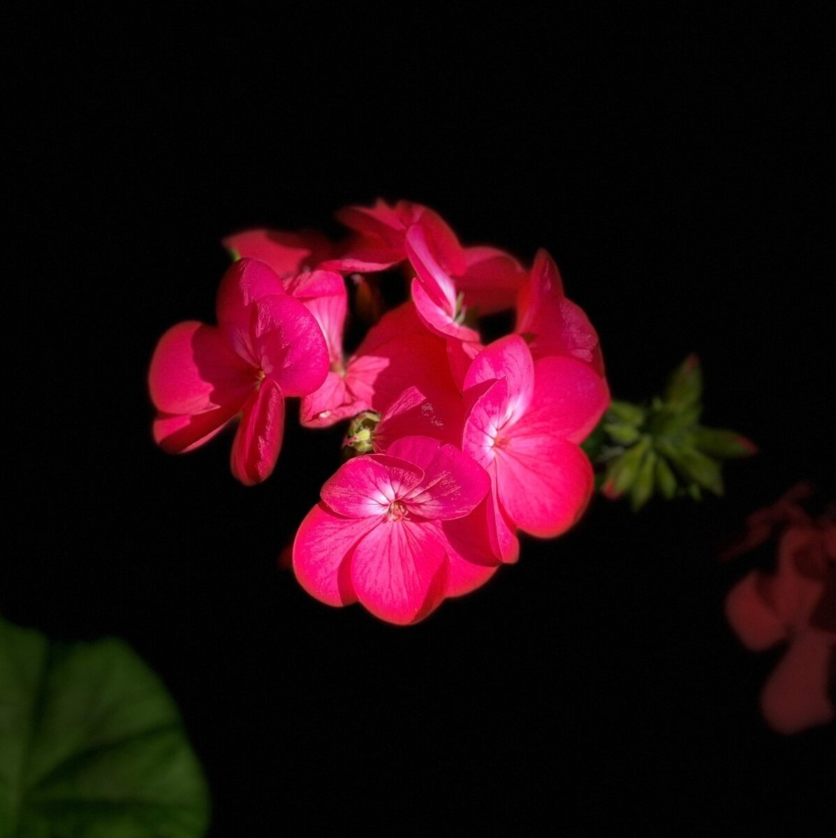 Фото из личного архива.