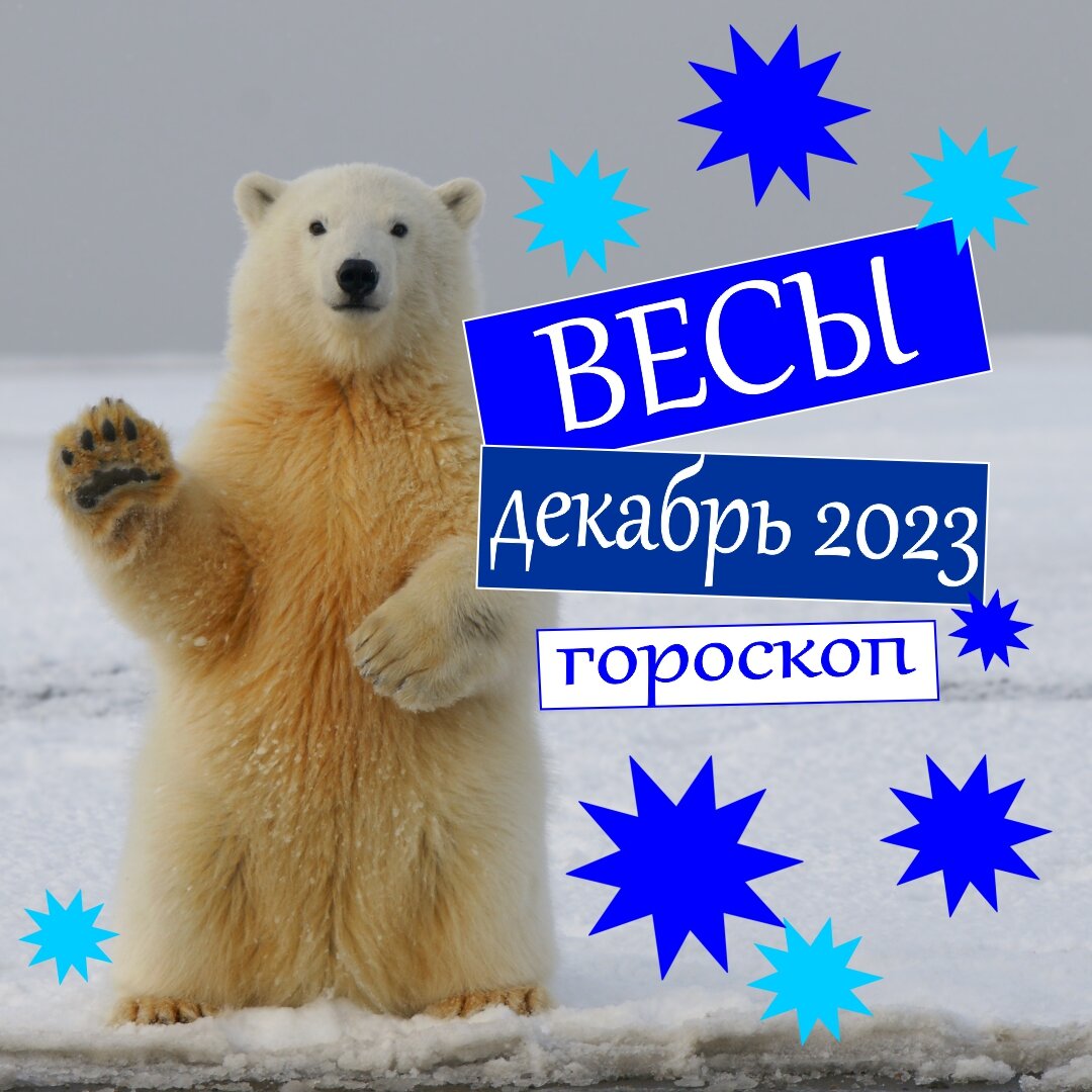 Весы. Гороскоп на декабрь 2023: деньги, любовь, работа, здоровье | Гороскопы  от Астролога | Дзен