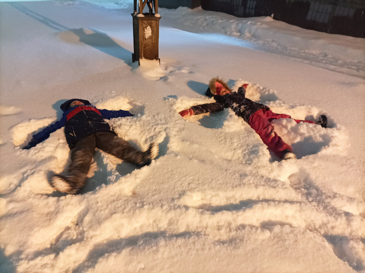 Довольные клопы валяются в пушистом снегу