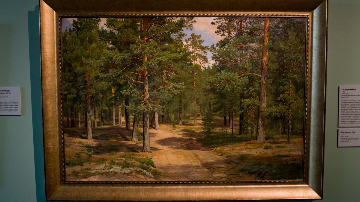     Над головой шелестят листвой столетние (а может, и старше) дубы. Сквозь листья проглядывает солнце. Шаг в сторону — а там уже березовый лес. А чуть дальше — хвойный. И речка. И всё это — в центре Владивостока. Прямо сейчас.