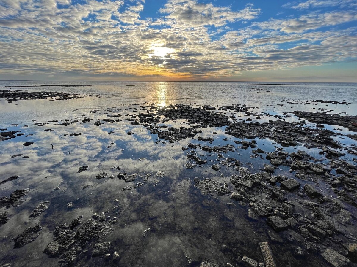 Бассейн рыбинского водохранилища. Молога Рыбинск. Молога 2022. Рыбинское водохранилище России. Бабьи горы Рыбинское водохранилище.