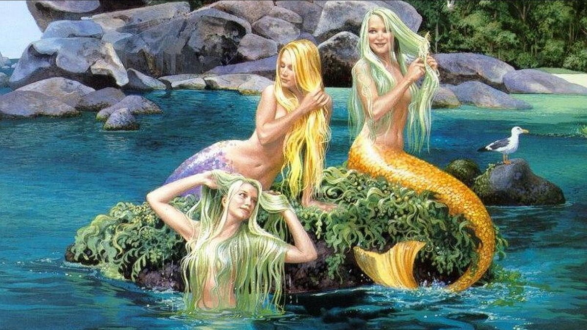 фото с просторов интернета