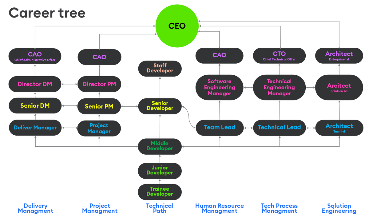 Упрощенное карьерное дерево