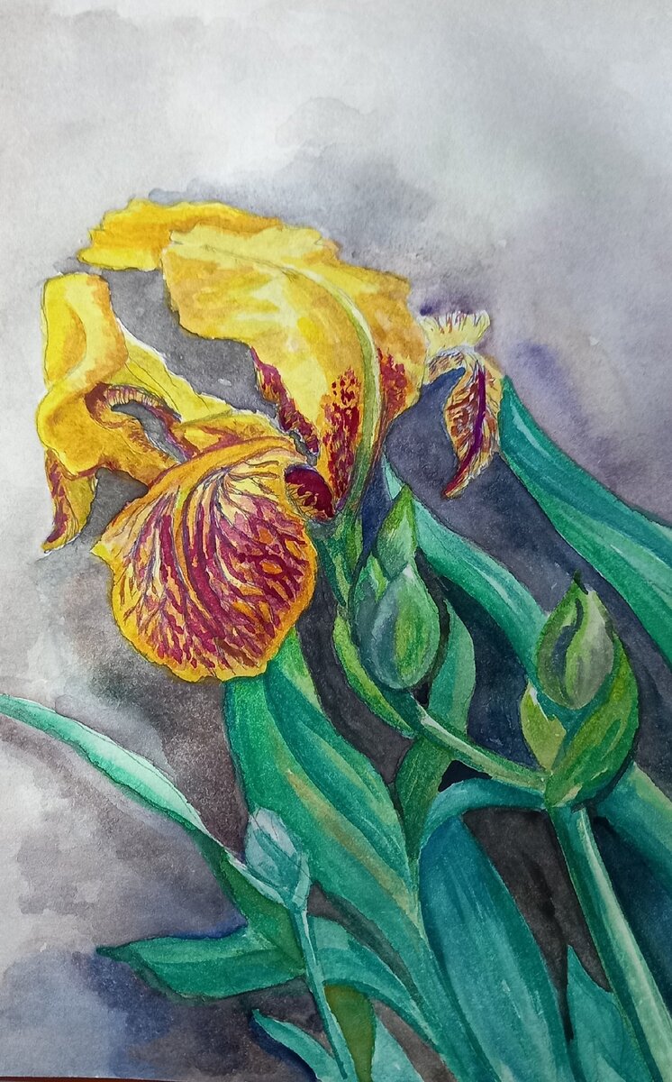 Художник Евгения Феоктистова.