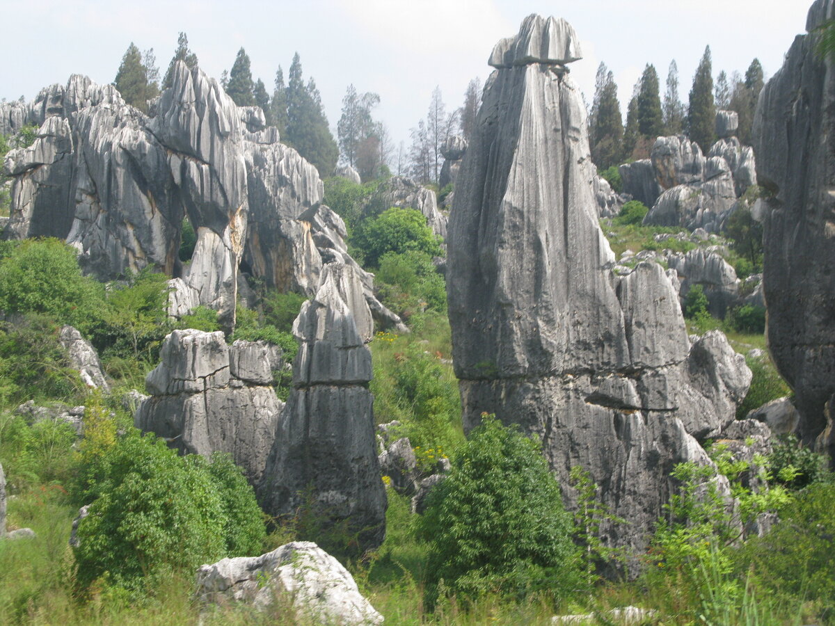 В Куньмине мы побывали в знаменитом парке "Лес камней"