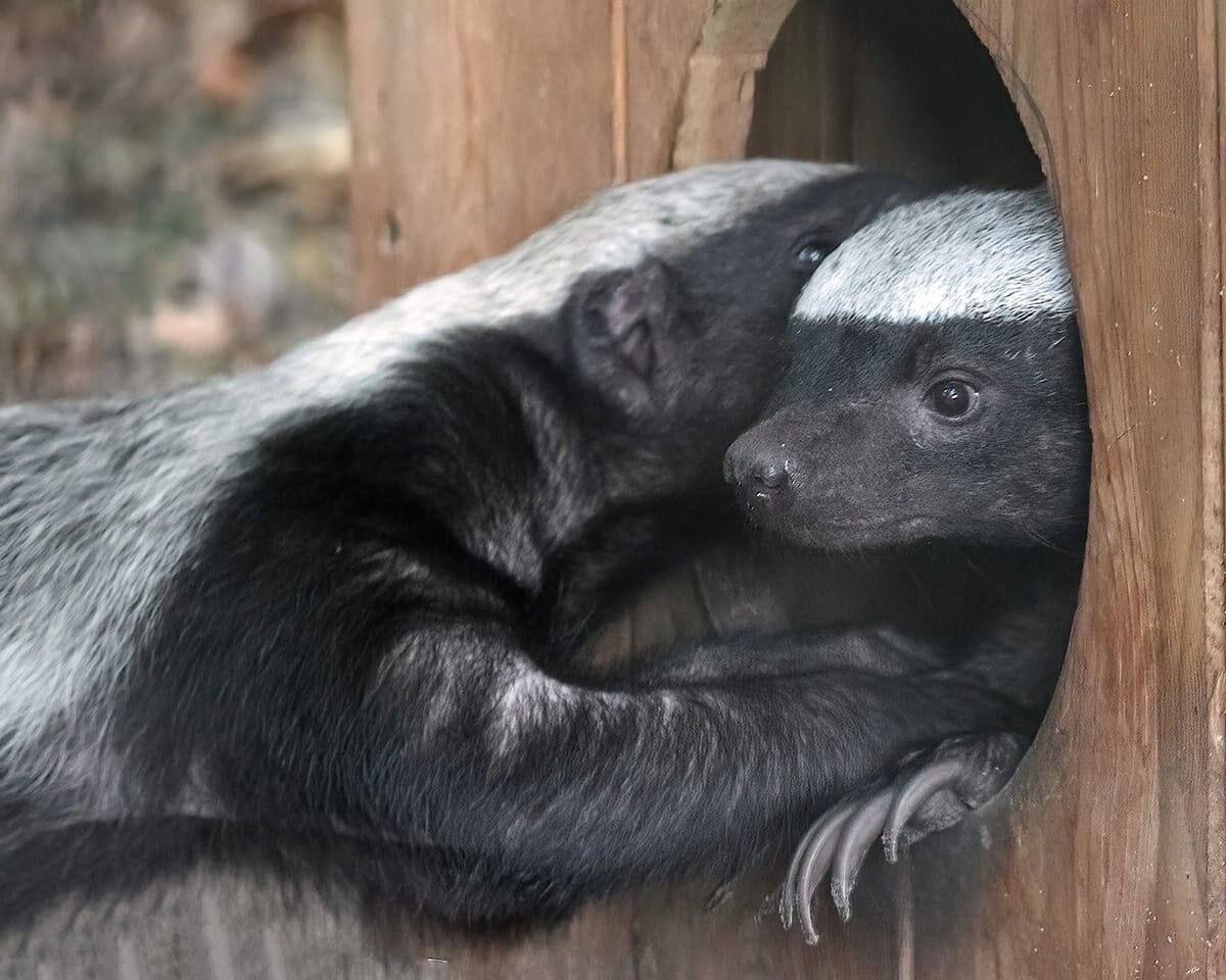 Медицинская помощь