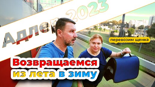 Адлер 2023. На пляже 1 ноября. Везем щенка в Кемерово. Встреча с Бэллой и Оливией