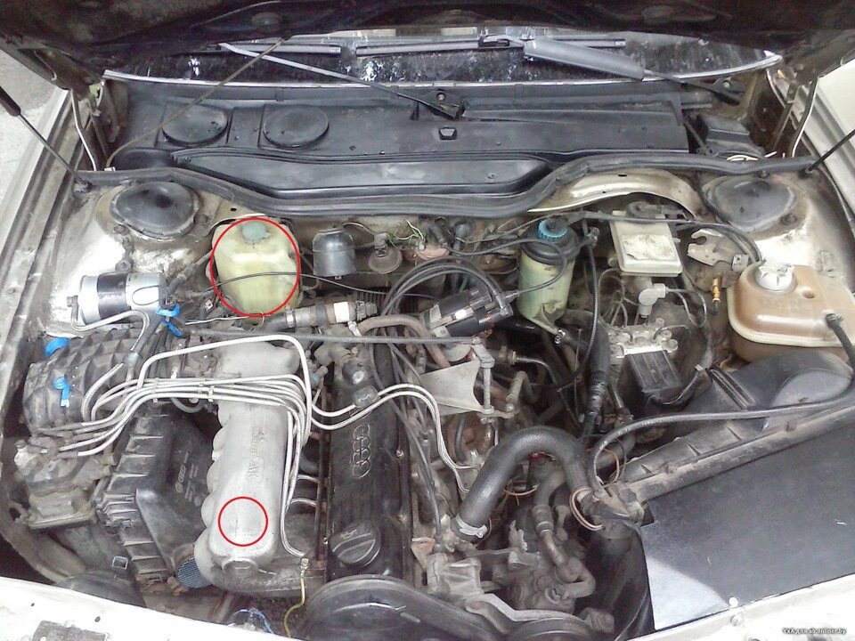 Источник: https://rally36.ru/podborki/audi-100-s3-kakoj-dvigatel-luchshe-84-foto.html